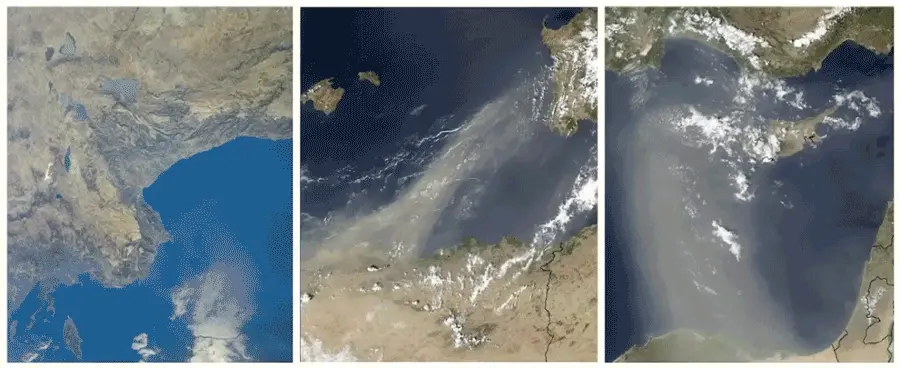 Mediterrani. © Ana Pfaff, 2018